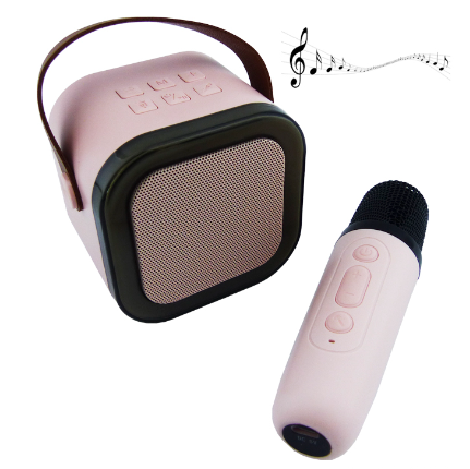 Parlante Karaoke Portable Con Microfono