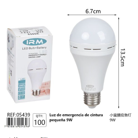 Luz de emergencia