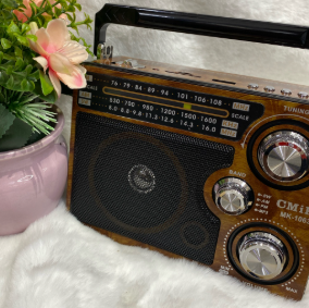 RADIO PARLANTE 