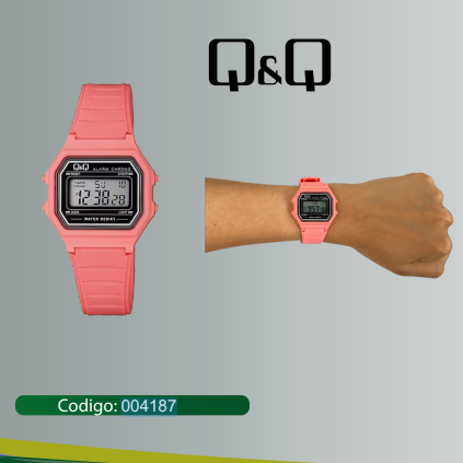 RELOJ Q&Q