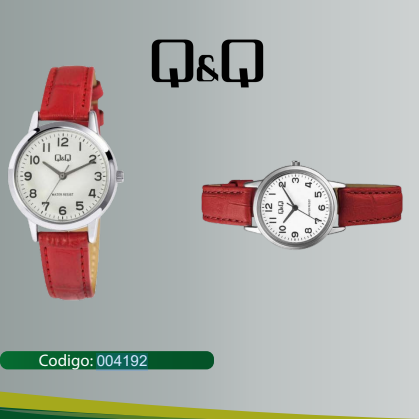 RELOJ Q&Q