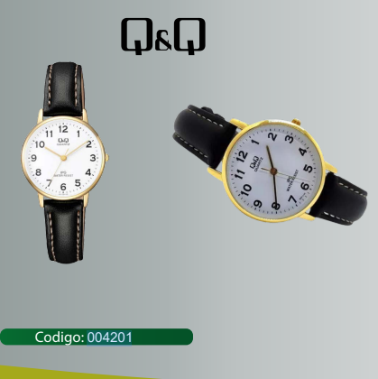 RELOJ Q&Q